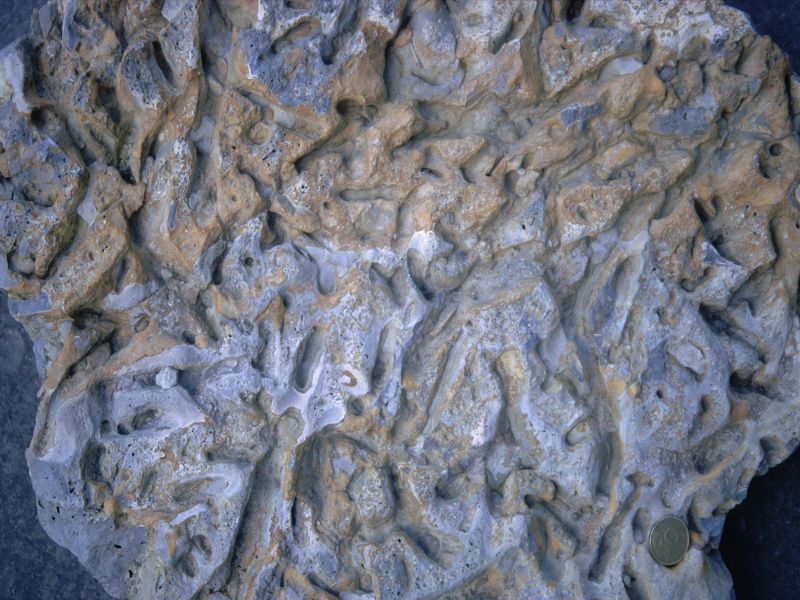 Muschelkalk